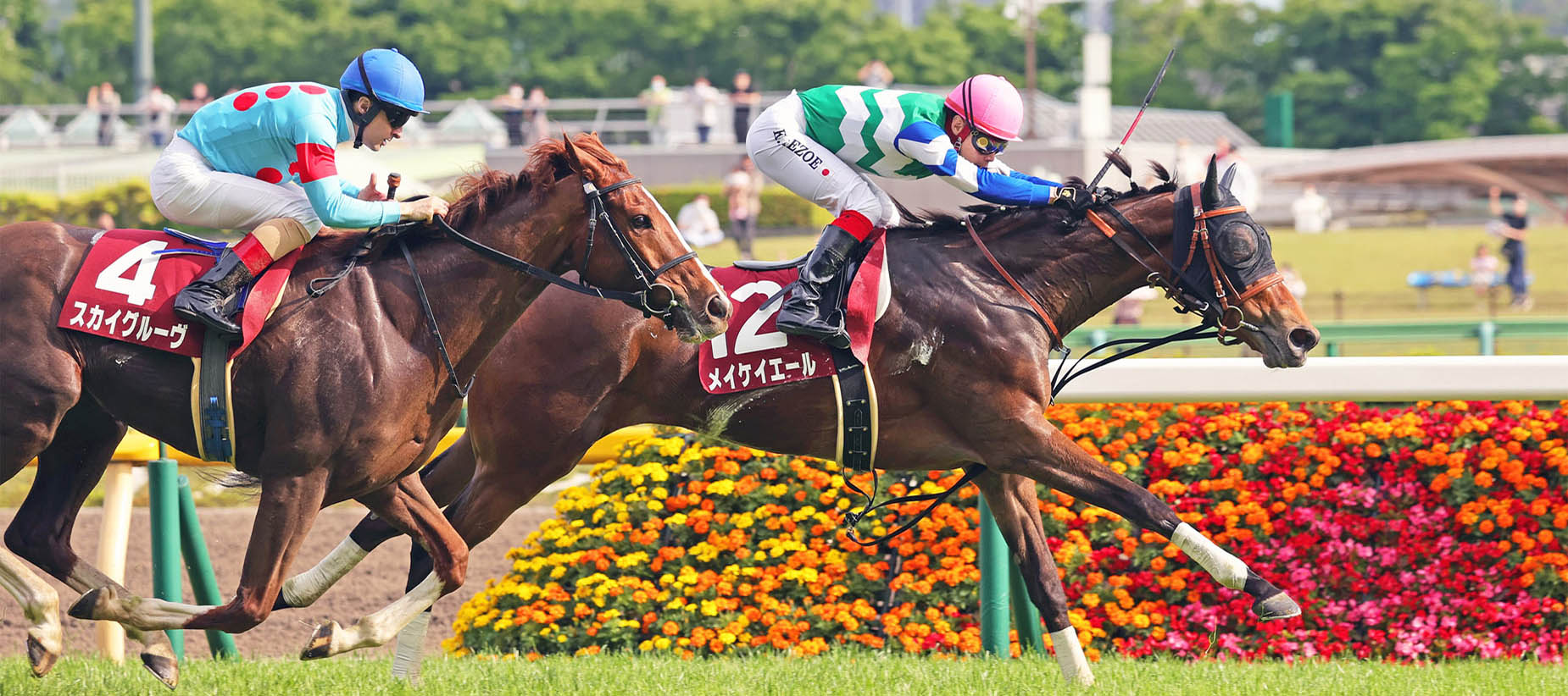 2022 Preakness Stakes Betting Update 3 Horses That Could Upset Epicenter