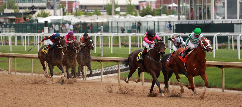 2022 Preakness Stakes Betting Updated Odds Favorites to Win the Race
