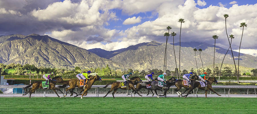 2022 Top Stakes to Bet On: 4 Graded Races at Santa Anita Highlights Weekend