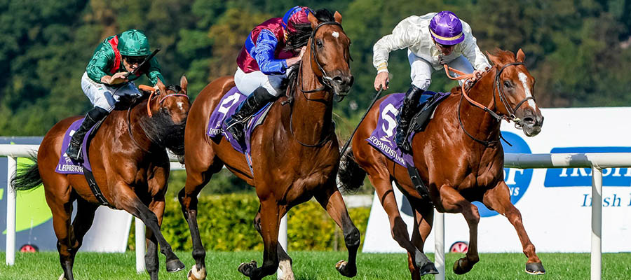 2022 Top Stakes to Bet On: Breeders’ Cup Highlights Weekend Action