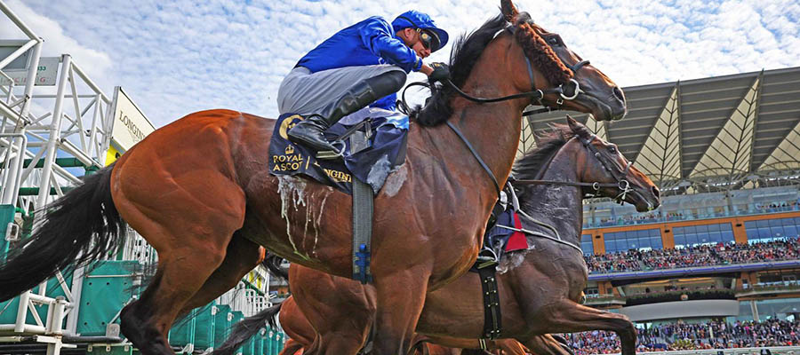 2022 Top Stakes to Bet On: Five Graded Races at Saratoga Highlights Weekend