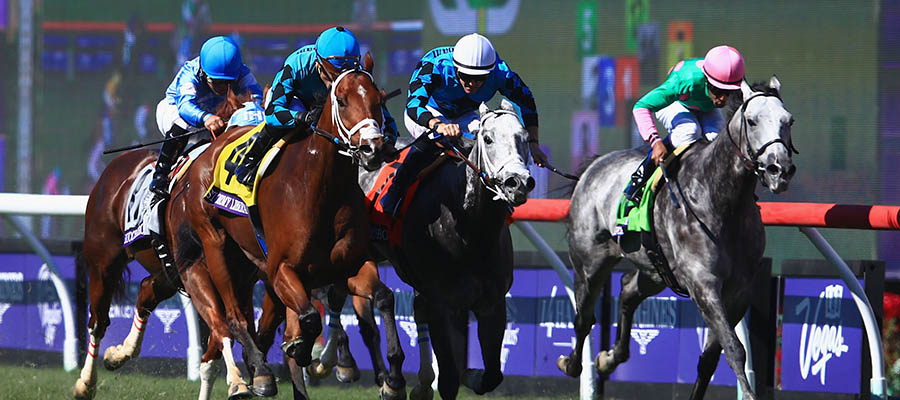 2022 Top Stakes to Bet On: G1 Del Mar Futurity, and 6 Other Races Highlights Weekend