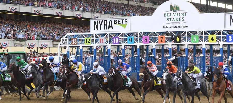 Early 2023 Belmont Stakes Betting Odds
