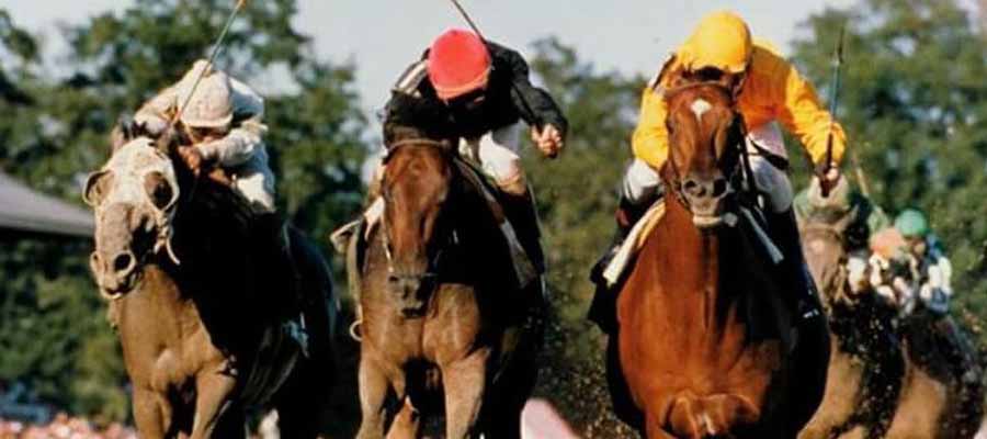 Betting Top Horse Races: Grade 2 and 3 Races to Bet Big