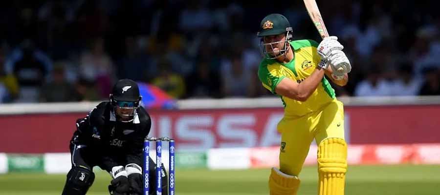 2023 ICC Cricket World Cup Odds: Top Betting the Fourth Week of Action