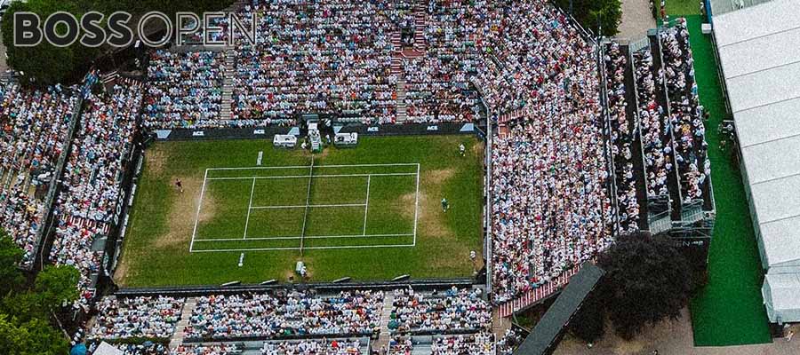 ATP BOSS Open Betting Analysis and Odds Favorites