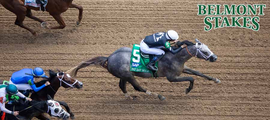 Belmont Stakes Betting Odds and Analysis for the Current Entry Field