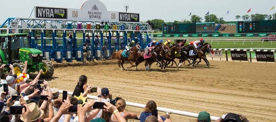Unveiling the Belmont Stakes Morning Line Odds - Can Anyone Stop Seize The Grey