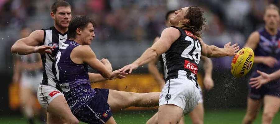 Expert Analysis Beyond Betting AFL Odds for Round 11