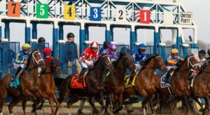 Horse Racing in December: Top Grade Stakes to Bet On This Weekend