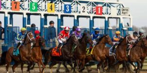 Horse Racing in December: Top Grade Stakes to Bet On This Weekend