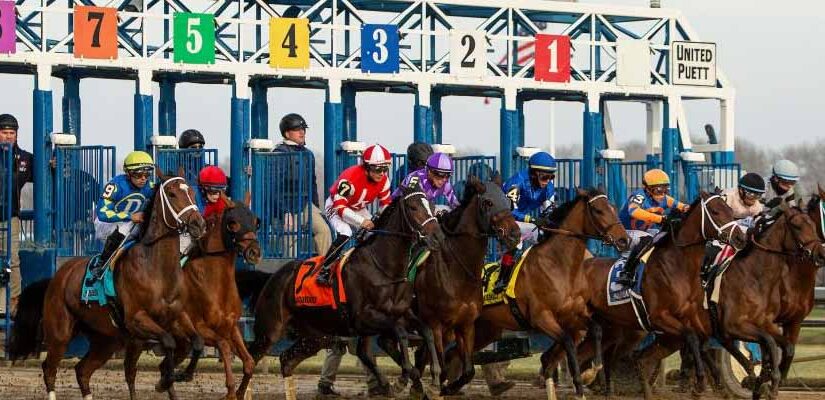 Horse Racing in December: Top Grade Stakes to Bet On This Weekend