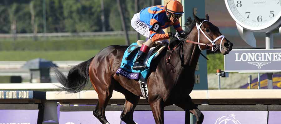 Don't Miss Out! Updated Kentucky Derby Lines & Field Analysis Revealed