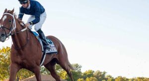 Bet on Top Grade 1 Stakes with the Best Live Horse Racing Odds