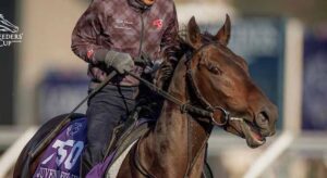 Which Horse has the Best Odds to Win the Breeders’ Cup