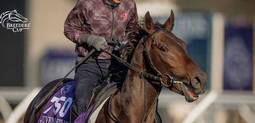 Which Horse has the Best Odds to Win the Breeders’ Cup