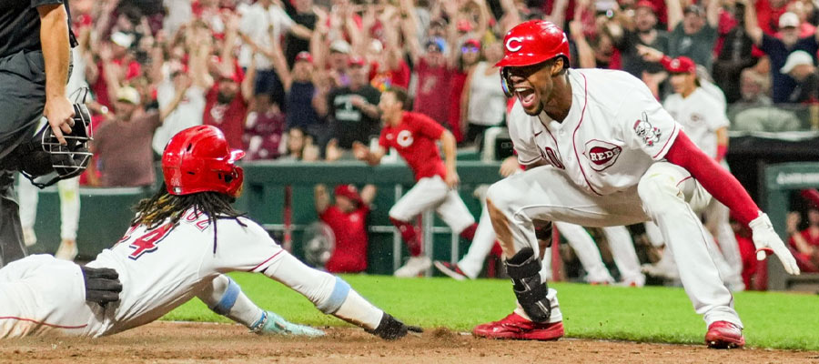 2024 Cincinnati Reds Odds: World Series, Division and NLCS Betting Picks