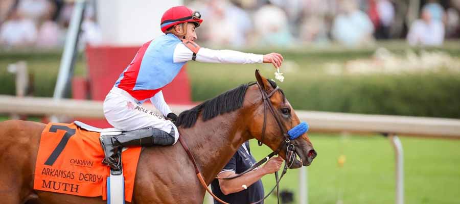 Horse Racing Betting Tips to Handicap the 2024 Preakness Stakes