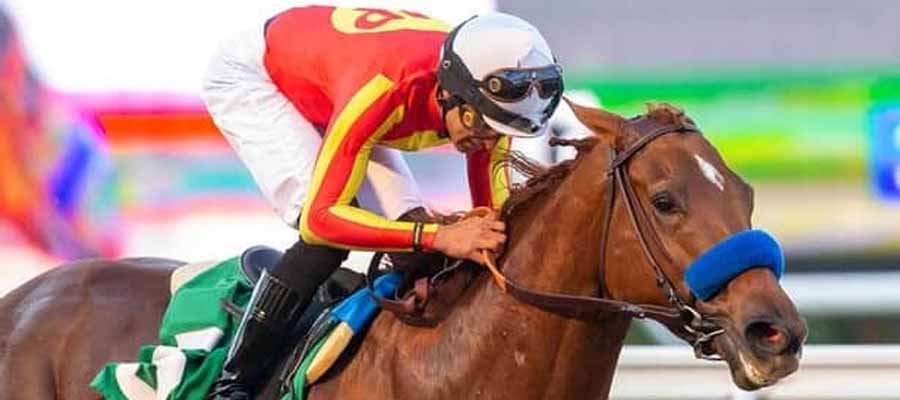 2024 Horse Racing Odds For Aqueduct, Gulfstream, and Santa Anita Park this Weekend