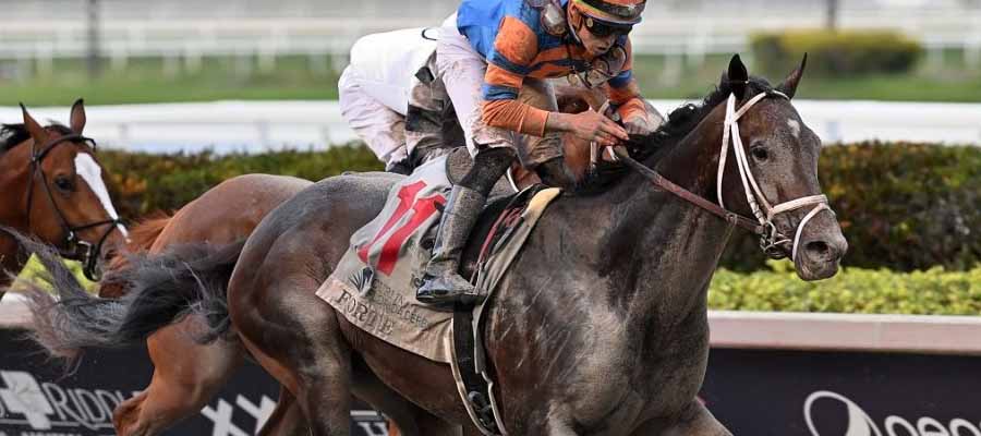Horse Racing Odds for Gulfstream Park and Oaklawn Park this Weekend