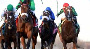 Betting Top Horse Races: Lines for the Top Grade 3 Races