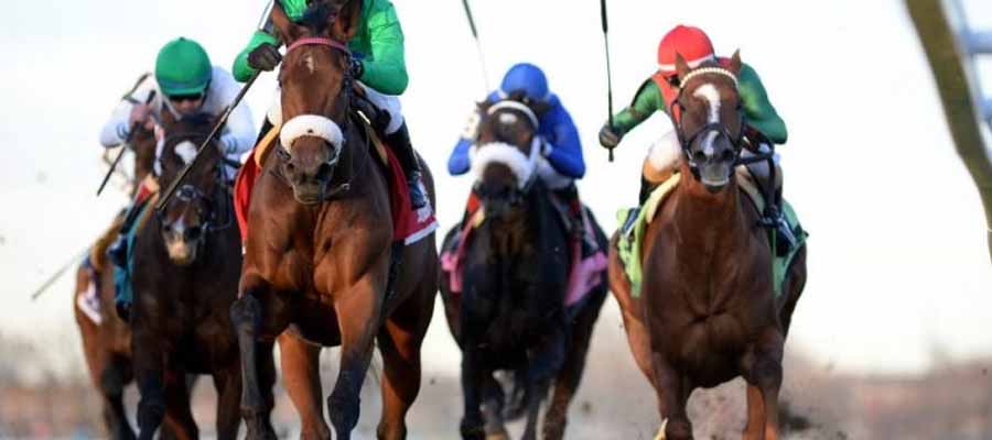 Betting Top Horse Races: Lines for the Top Grade 3 Races