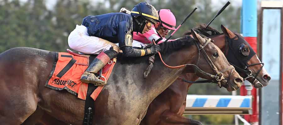 Run for the Roses: Unveiling Kentucky Derby Odds and Analyzing Top Contenders