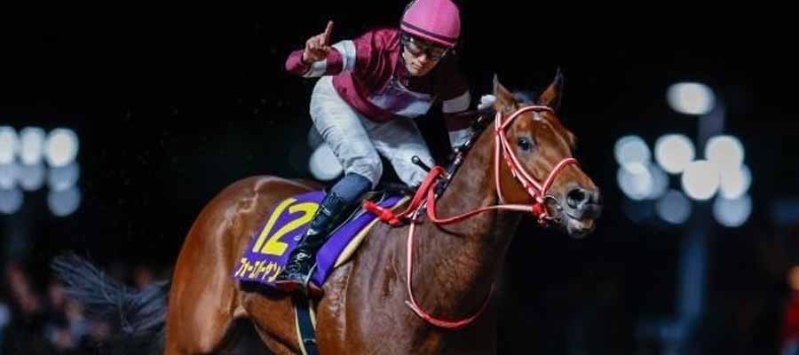 2024 Kentucky Derby Horse Racing Odds & Pick - Run for the Roses