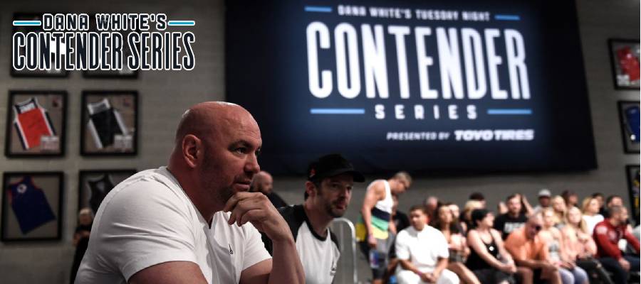 DWCS Betting Odds and Analysis for Season 8, Week 3 Bouts