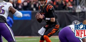 2024 NFL AFC North Team Totals Betting Predictions: O/U Picks