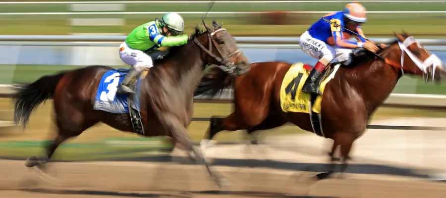 2024 Pegasus World Cup Betting On Saturday