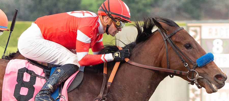 Preakness Stakes Betting: What Horse Can Take Down the Derby Champ?