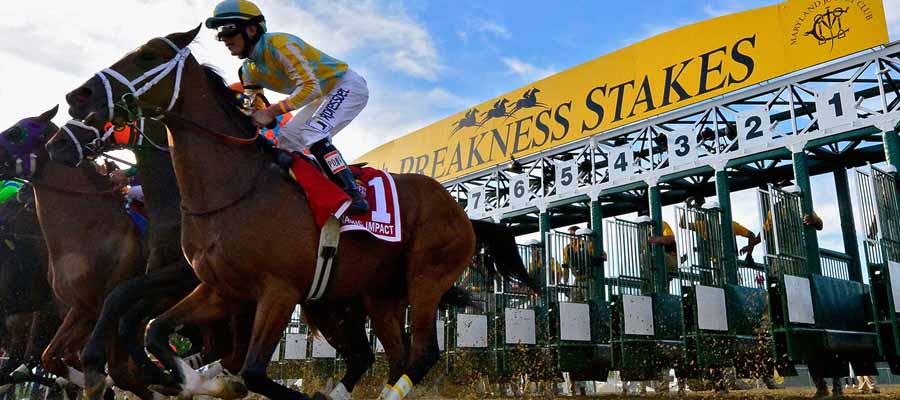 Preakness Stakes Betting Update: Let's Have A Look At The Potential Field