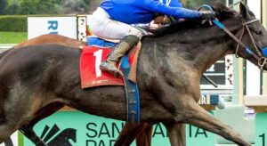 Horse Racing in January: Exciting Weekend Grade Stakes (Week 3) You Can’t Miss