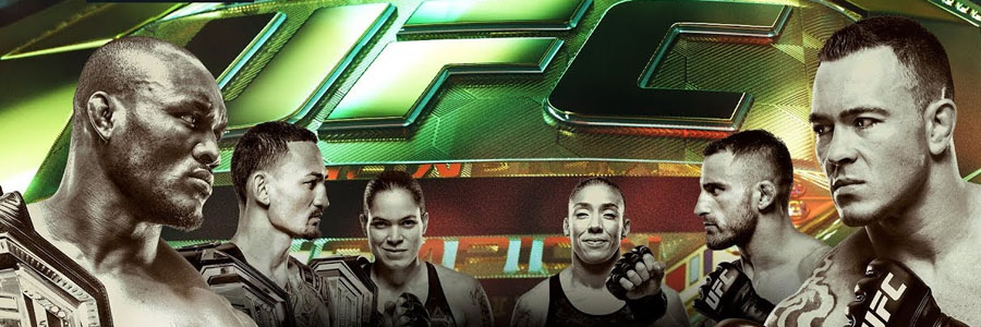 UFC 245 Odds, Preview & Expert Predictions.