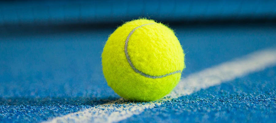 ATP 2021 Erste Bank Open and St. Petersburg Open Betting Preview