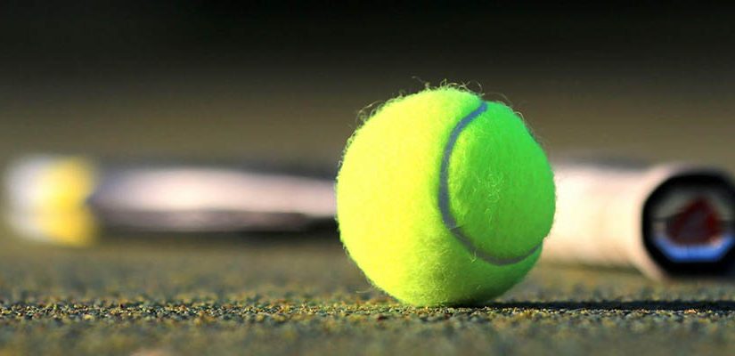ATP 2021 European Open Betting Analysis Update