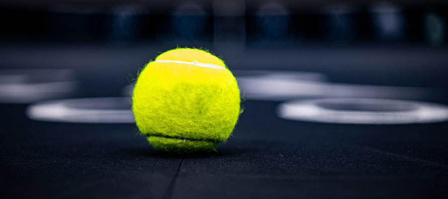 ATP Early 2021 European Open Betting Odds & Analysis