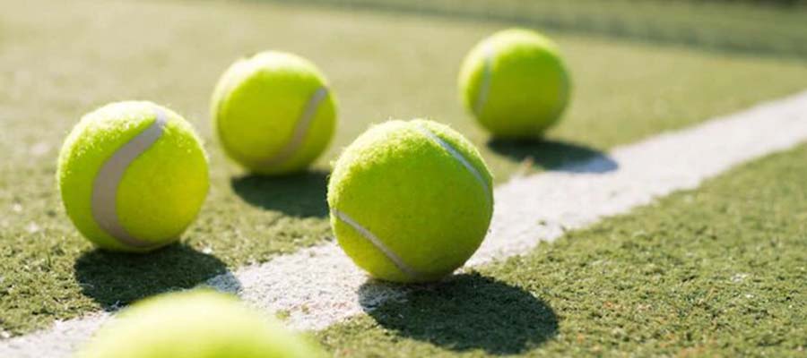 ATP Erste Bank Open Betting Preview, and Possible Playing Field