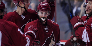 Arizona Coyotes