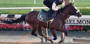 Belmont Park Horse Racing Odds & Picks for Friday, June 19