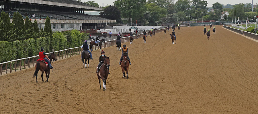 Belmont Park Horse Racing Odds & Picks for Friday, June 26