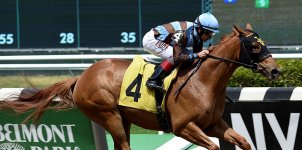 Belmont Park Horse Racing Odds & Picks for Saturday, June 13