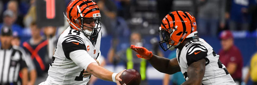 The Cincinnati Bengals are not favorites to win the AFC North.