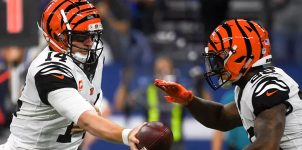 Bengals vs Browns 2019 NFL Week 14 Spread & Expert Analysis.