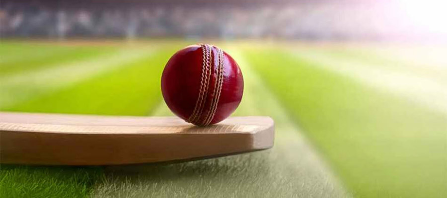 Best Cricket Games to Bet On: SA20, Ford Trophy, Bigh Bash League, and More