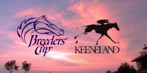 Horsebetting Guide on 2015 Breeders Cup Classic