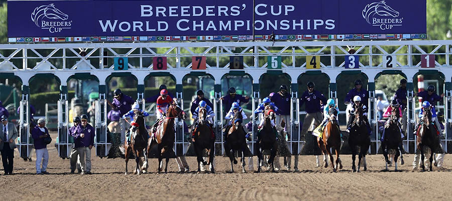 Breeders' Cup Betting Picks, Analysis and Predictions for the Weekend Action