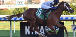 Breeders’ Cup Sprint Horse Racing Odds & Picks for Nov. 7th
