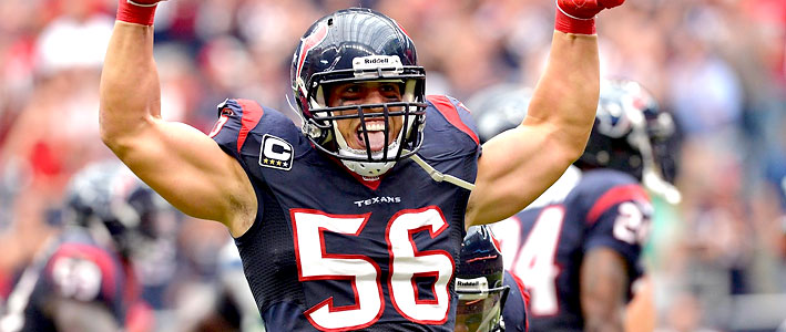 Brian Cushing is in the list of veterans expected to have a great performance this NFL season